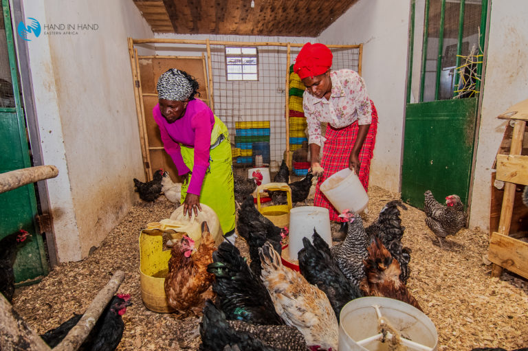 54292503011_c7916e8085_o