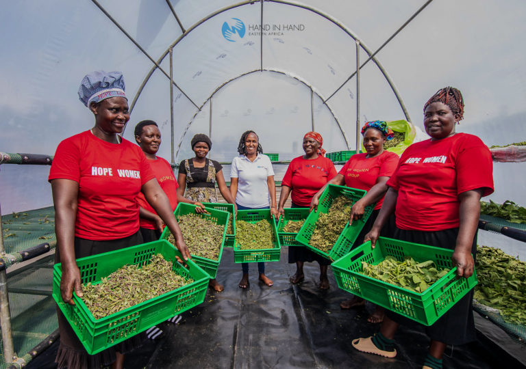 54292509241_951610c258_o