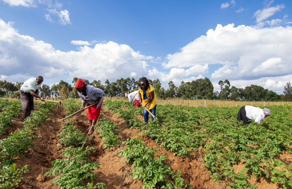 Oljororok Smart Climate Village: A Tale of Resilience and Transformation